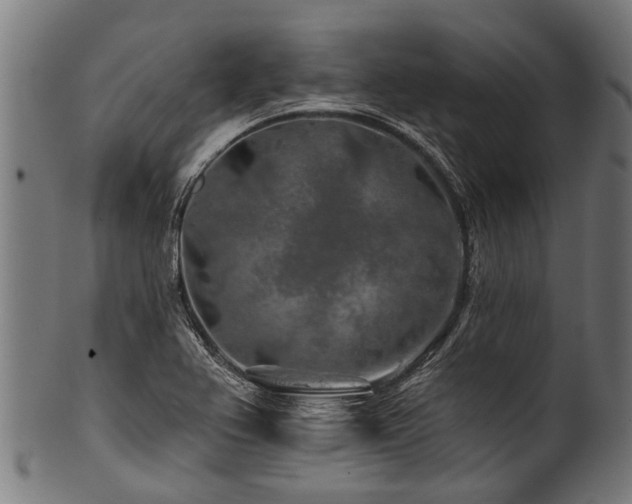 X0000100971367200806241541