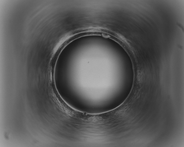 X0000100971368200806241541