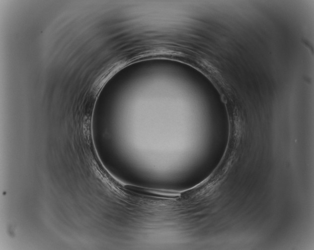 X0000100971369200806241541