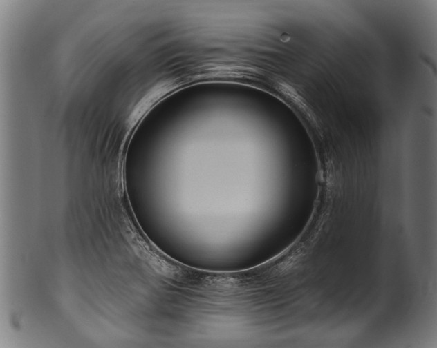 X0000100971370200806241541