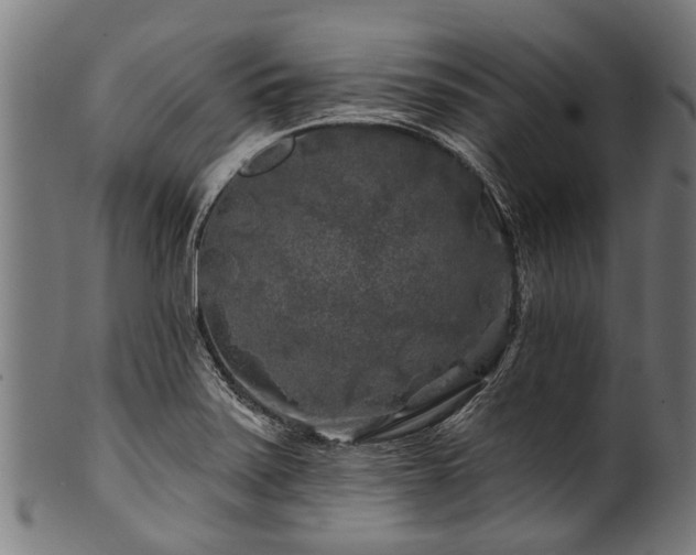 X0000100971371200806241541