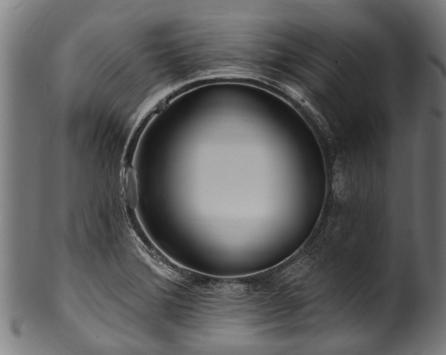 X0000100971372200806241541