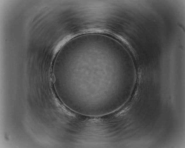 X0000100971373200806241541