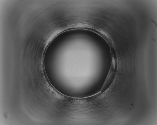 X0000100971374200806241541