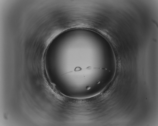 X0000100971375200806241541