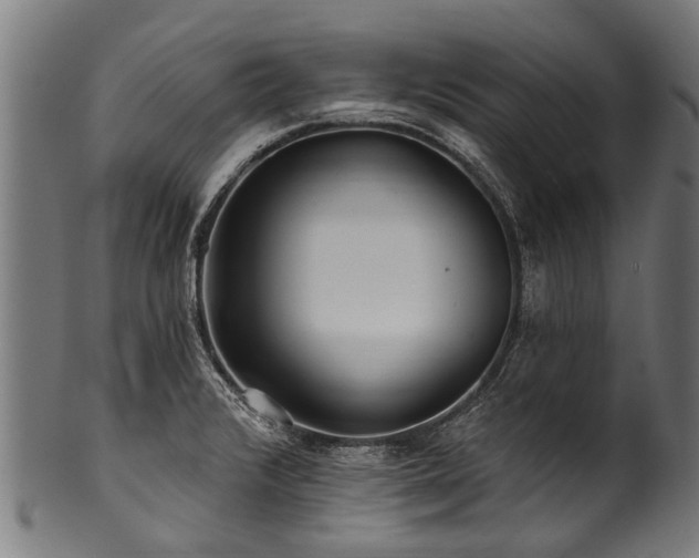 X0000100971376200806241541