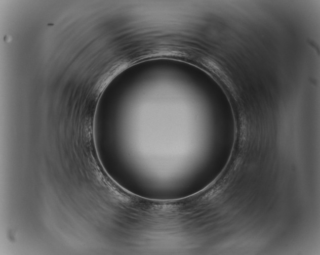 X0000100971377200806241541