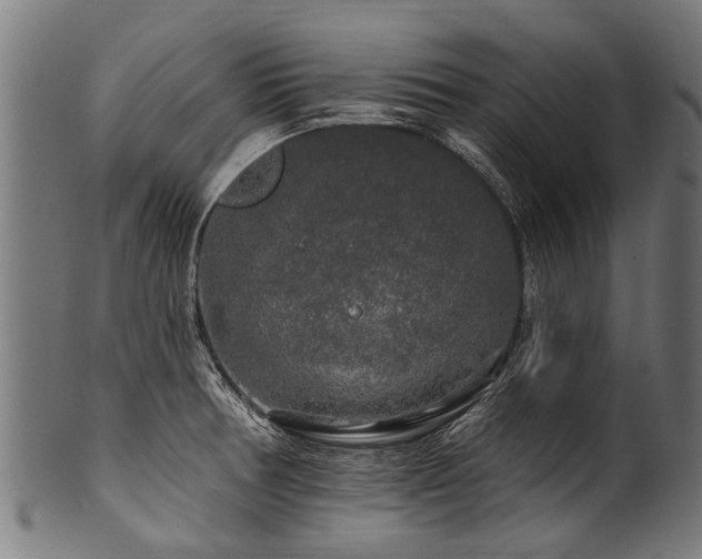 X0000100971378200806241541