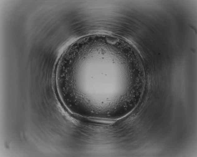 X0000100971379200806241541