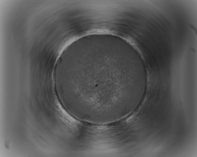 X0000100971382200806241541