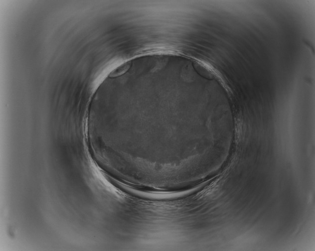 X0000100971383200806241541