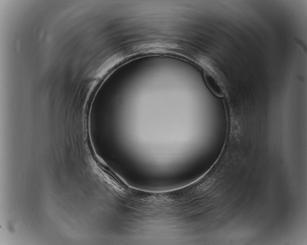 X0000100971384200806241541