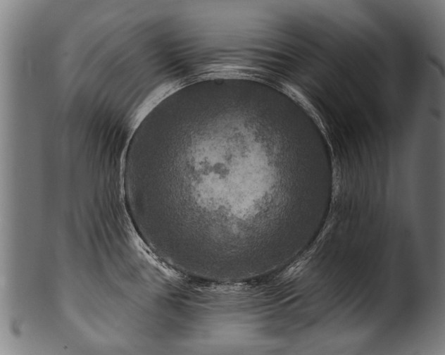 X0000100971386200806241541