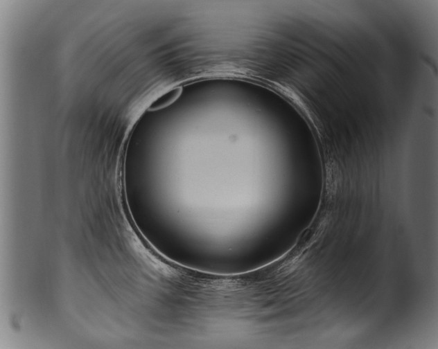 X0000100971387200806241541