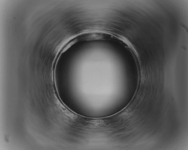 X0000100971388200806241541