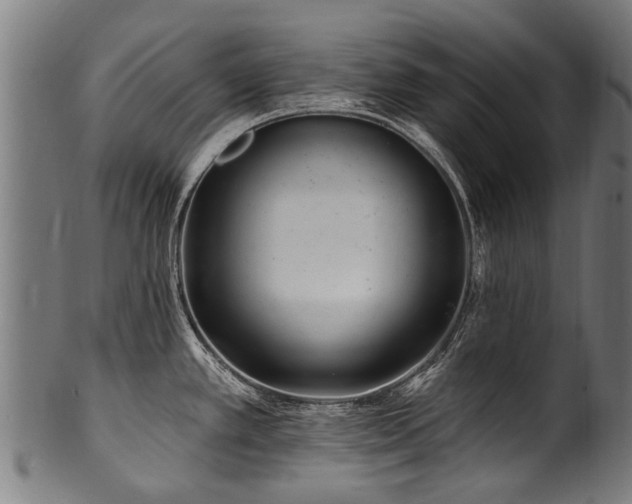 X0000100971389200806241541