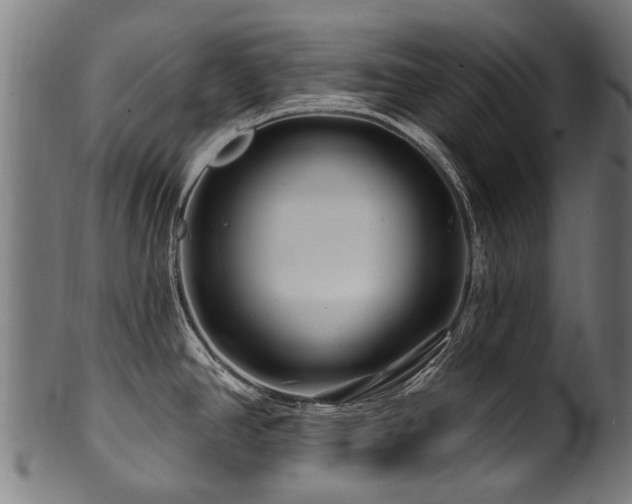 X0000100971390200806241541