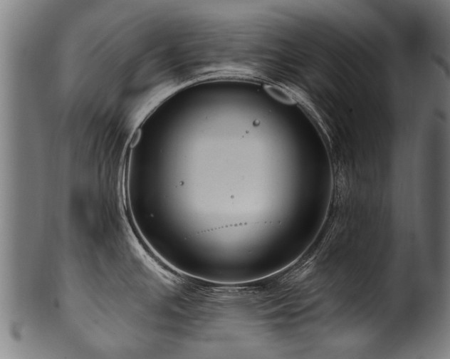 X0000100971391200806241541