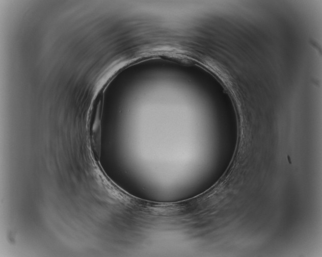 X0000100971392200806241541