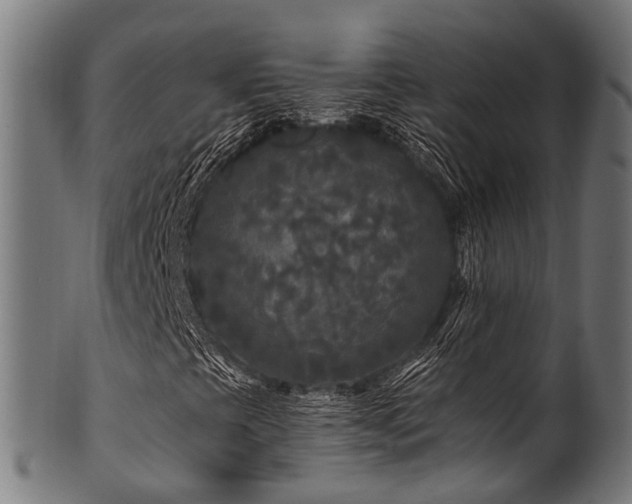 X0000100971393200806241540