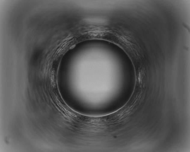 X0000100971396200806241540