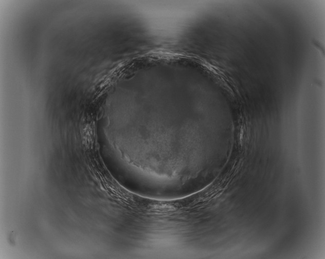 X0000100971397200806241540