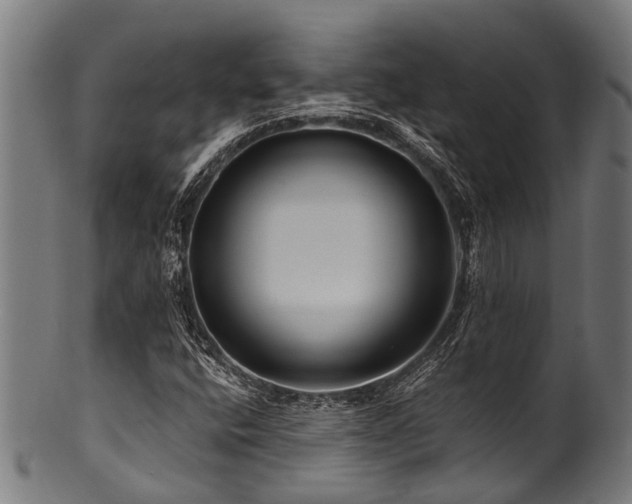 X0000100971400200806241540