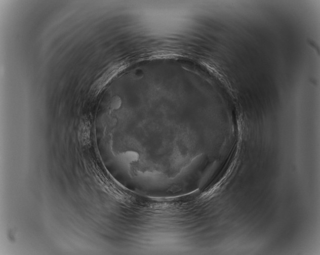 X0000100971401200806241540