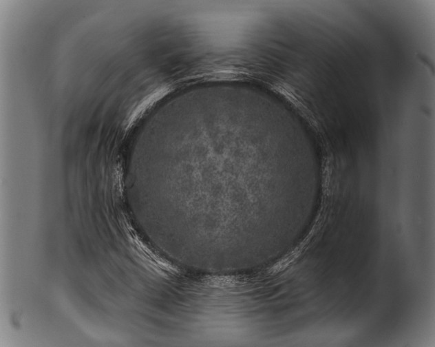 X0000100971402200806241540