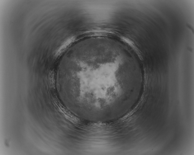 X0000100971403200806241540