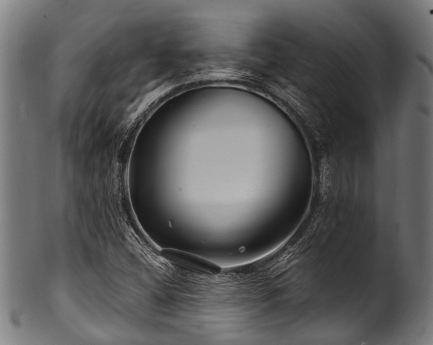 X0000100971404200806241540