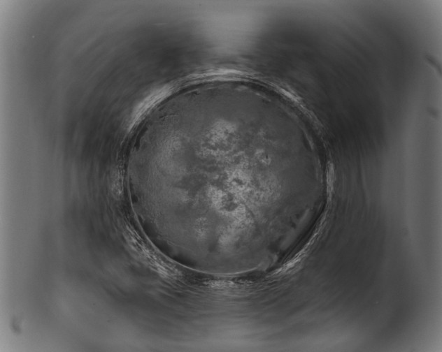 X0000100971405200806241540