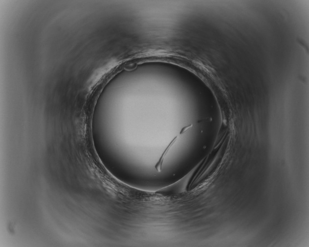 X0000100971406200806241540