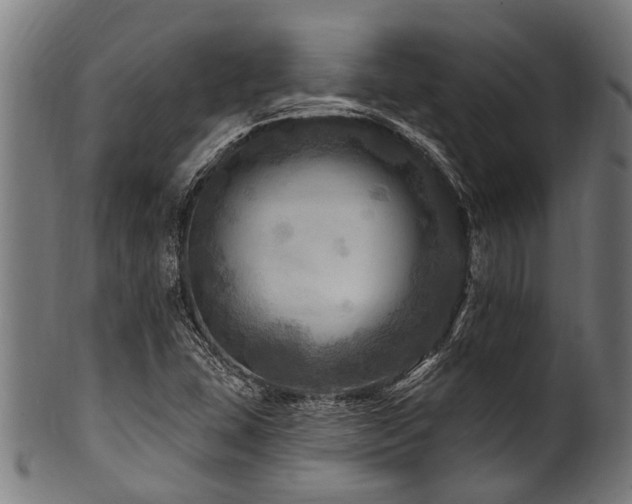 X0000100971407200806241540