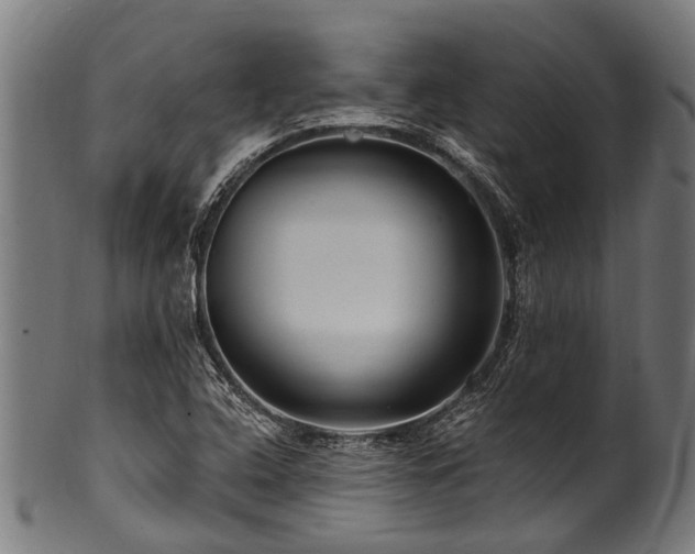 X0000100971408200806241540