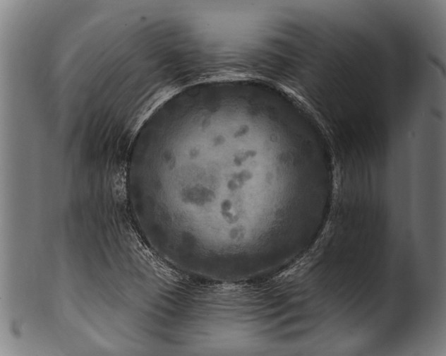 X0000100971409200806241540