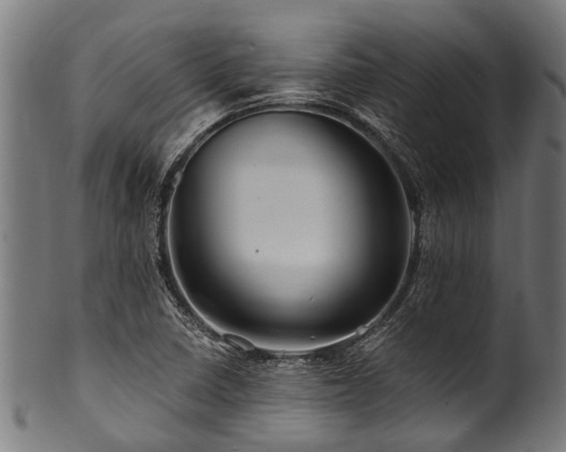 X0000100971410200806241540