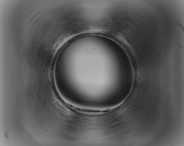 X0000100971412200806241540