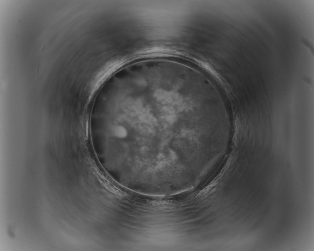 X0000100971413200806241540