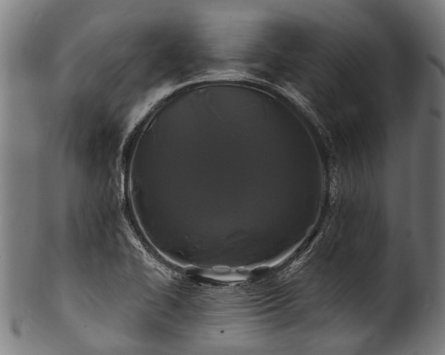 X0000100971414200806241540