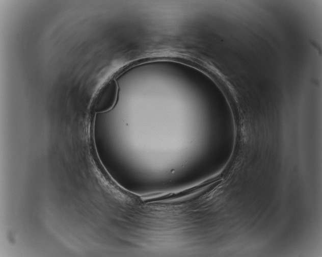 X0000100971416200806241540