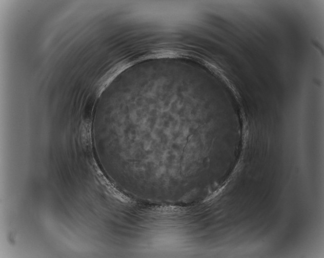 X0000100971417200806241540