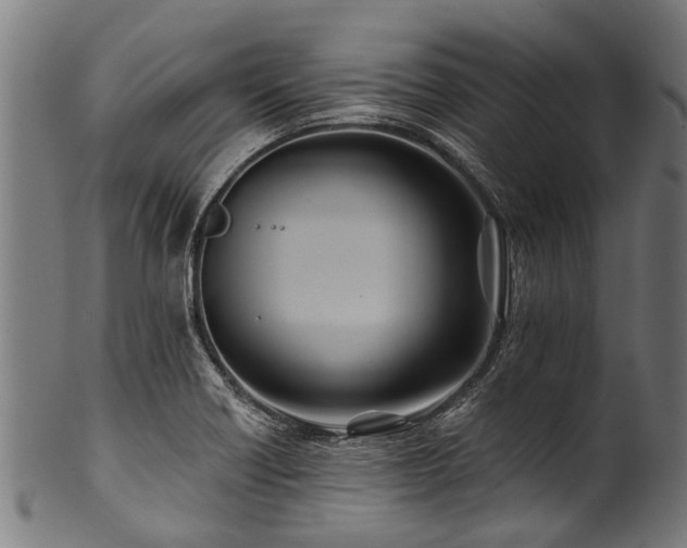 X0000100971418200806241540