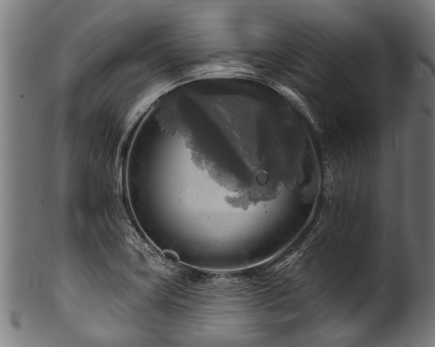 X0000100971419200806241540