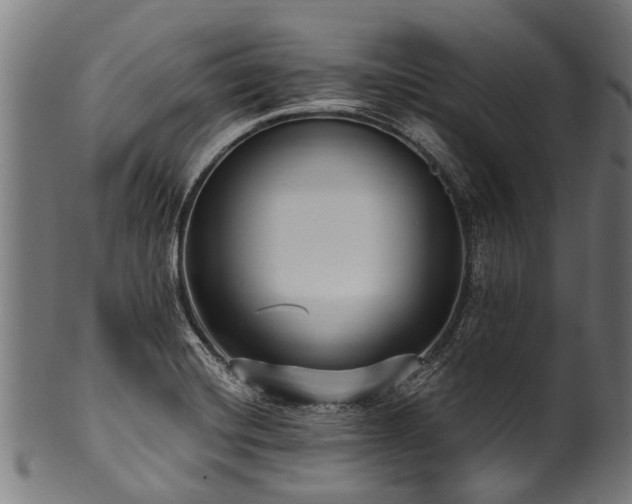 X0000100971420200806241540