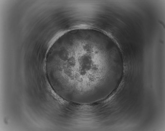 X0000100971421200806241540