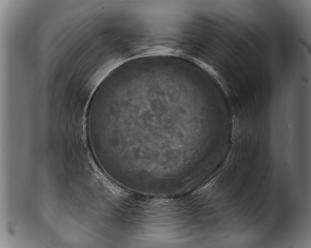 X0000100971423200806241540