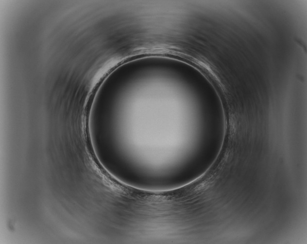 X0000100971424200806241540