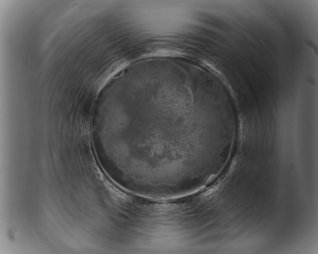 X0000100971425200806241540