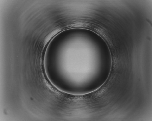 X0000100971426200806241540